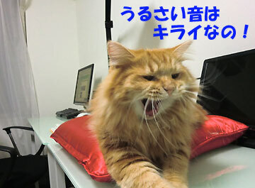 過剰に反応します^^;
