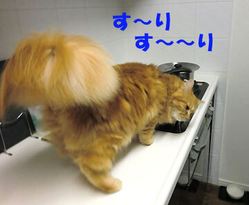 かなり危ないの