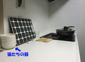 調味料置いていたら、やつらに持って行かれます
