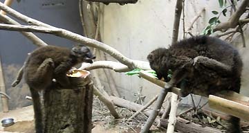 これからも元気でね!