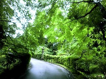 バスの時間はチェック済み