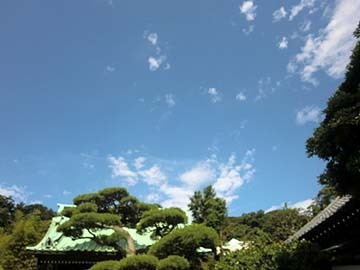 暑くなりそうな予感