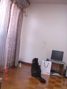 なんか部屋が変わったなあ