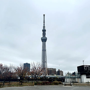 IMG_1246.jpeg