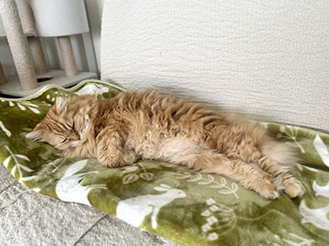 IMG_1573.jpeg
