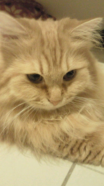 2012073020090000.jpg
