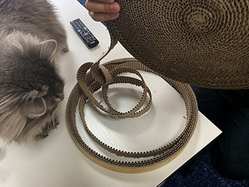 IMG_0134.jpeg