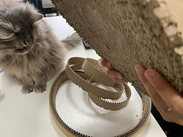 IMG_0136.jpeg