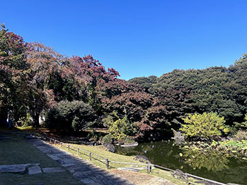 IMG_0661.jpeg
