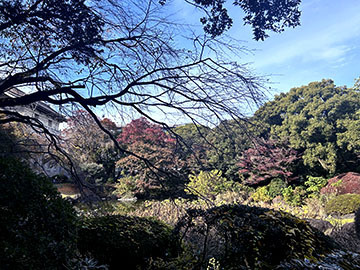 IMG_0959.jpeg