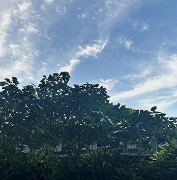 IMG_1268.jpeg