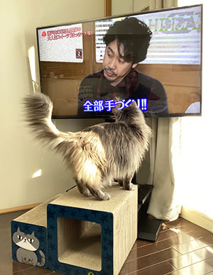 IMG_1454.jpeg