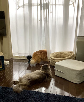 IMG_2005.jpeg