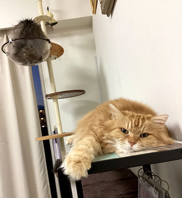 IMG_2414.jpeg
