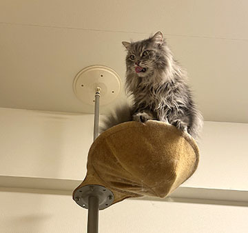IMG_2556.jpeg