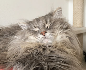 IMG_3002.jpeg