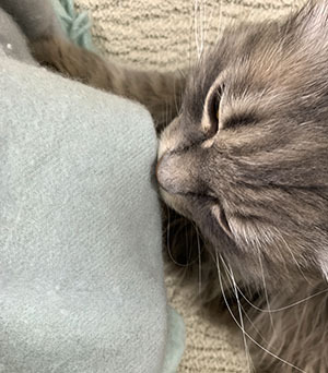 IMG_3824.jpeg