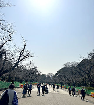IMG_3853.jpeg