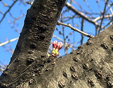IMG_4121.jpeg