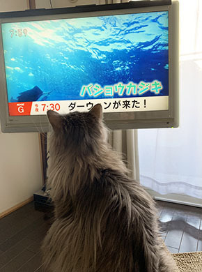 IMG_4684.jpeg