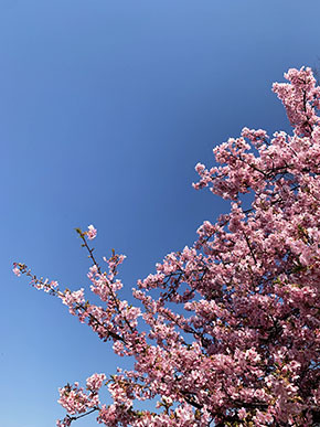IMG_7435.JPG