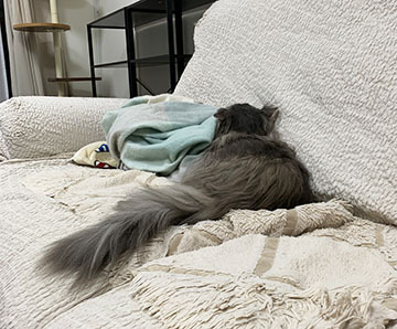 IMG_8269.jpeg