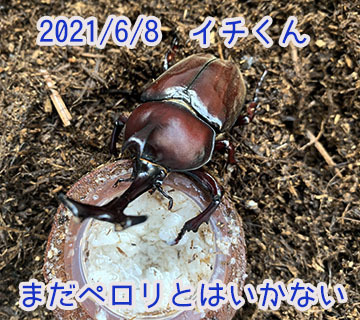 IMG_9667.JPG