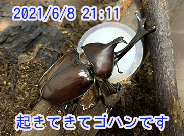 IMG_9703.JPG