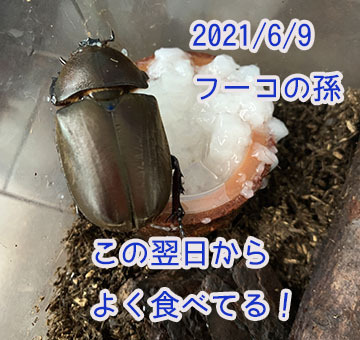 IMG_9712.JPG