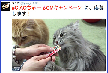 これです