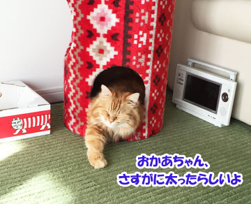 うみの攻撃