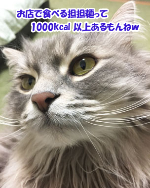 あおの攻撃