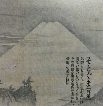 そとぐまって言うんだね