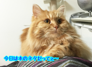 ずらりと行くよー