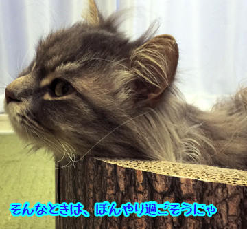 あおくん