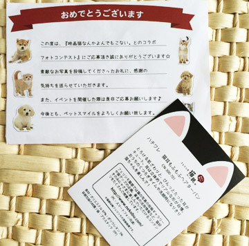 わーいわーい