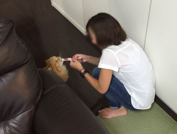 もらうんじゃん