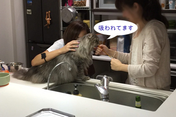 すーはー