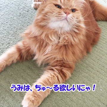 はいはい