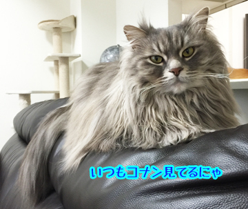 悪かったねw