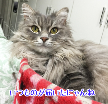 そうだよー