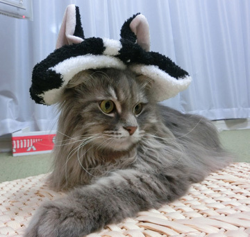 かわいいよーw