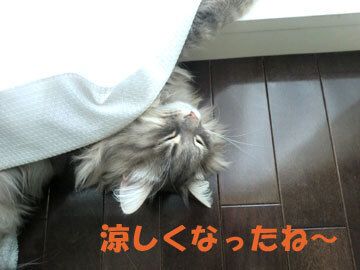 あおくん気持ちよさそう