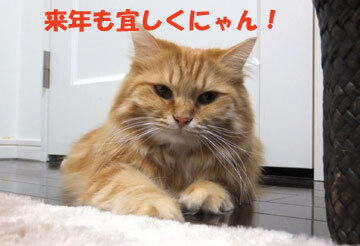 うみちゃんも挨拶しますよー