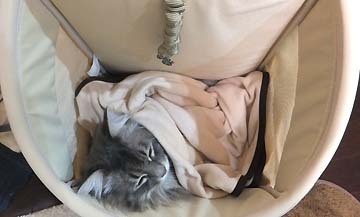この狭さが落ち着くのだよ