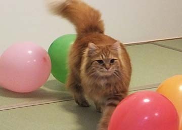 おつかれさま、うみちゃん。