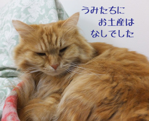 ごめんよー