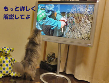 ほんとは、画面下の何かが気になるようです