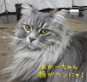 あおに言われた