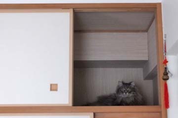 がんばるよ